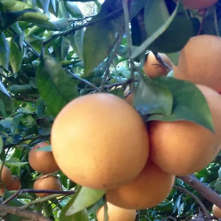 Pretorina فندق مبيت وإفطار